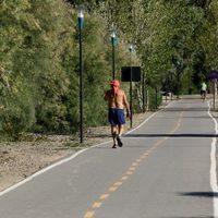 Clima en Neuquén: domingo caluroso con ráfagas intensas hacia la noche