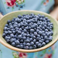 La potente fruta de la longevidad que aporta muchos beneficios y se consigue en todas las verdulerías