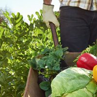 Crean un plan de asistencia para la Agricultura Familiar y Campesina