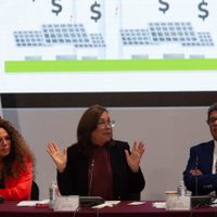 Nahle: con la reforma eléctrica "no se va a expropiar ni un tornillo"