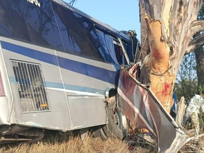 Tragedia en Querétaro: Mueren nueve personas por choque de autobús contra un árbol