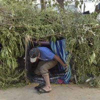 Migrantes 'reciben facilidades” para obtener empleo formal en México: INM