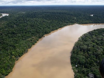 Una teoría que cobra fuerza: la pesca ilegal podría estar detrás de la desaparición en la Amazonía