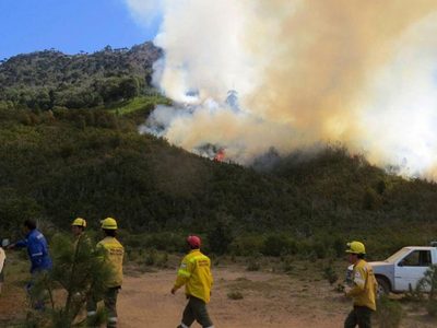Cómo sigue el incendio forestal en Aluminé: trabajan más de ochenta brigadistas en la zona