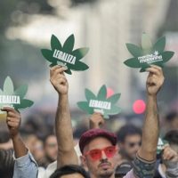 Brasil aprueba por amplia mayoría criminalizar la posesión de cualquier cantidad de droga