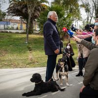 Los resultados de António Costa, una anomalía en una Europa sin grandes mayorías