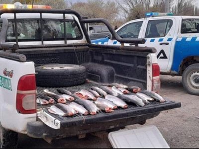 La dirección de Fauna de Neuquén incautó 30 truchas a pescadores furtivos