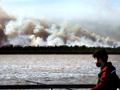 Crecen las quejas y presiones por los incendios en el delta del Paraná: piden multas millonarias