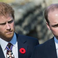El príncipe Harry y William ya no pueden ocultar la realidad: la causa de su disputa revelada