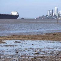 Para el Ente Yacyretá, es “muy probable” que continúe la bajante en el Río Paraná