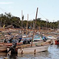 Investigación de Oceana: "En México se pesca a ciegas"