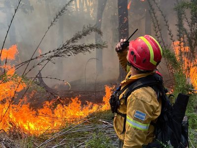 La angustia de una joven por el incendio en Brazo Tristeza: “No vengan más con esa irresponsabilidad”