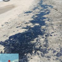 Grupo interdisciplinario atiende derrame de hidrocarburo en el Golfo de México