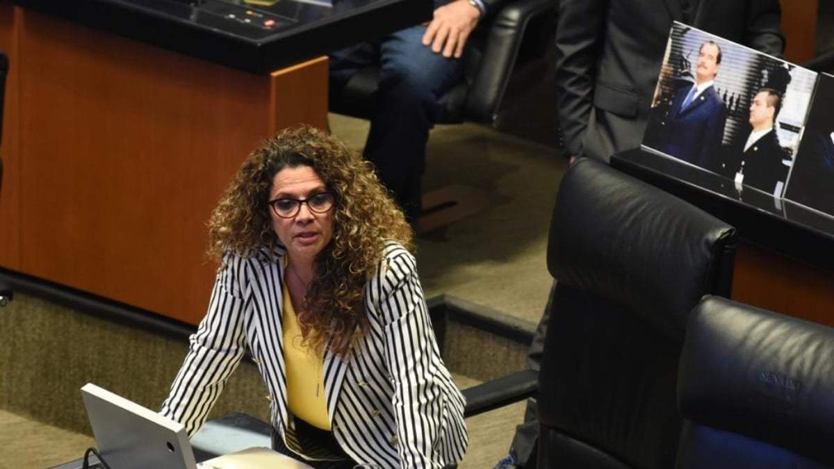 Rocío Sánchez Abreu, senadora por Morena