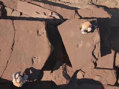 Increíble hallazgo en El Chocón: encontraron huellas de un dinosaurio carnívoro