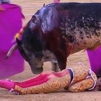 Muere el torero español Víctor Barrio tras recibir cornada en el pecho (video)