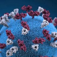 Emiten aviso epidemiológico ante el aumento de casos de sarampión