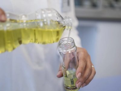 No tires las botellas de aceite y hacete estas increíbles y prácticas macetas colgantes para tus plantas