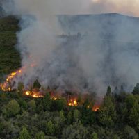 Chubut declaró la Emergencia Ígnea para enfrentar riesgos forestales en 2026