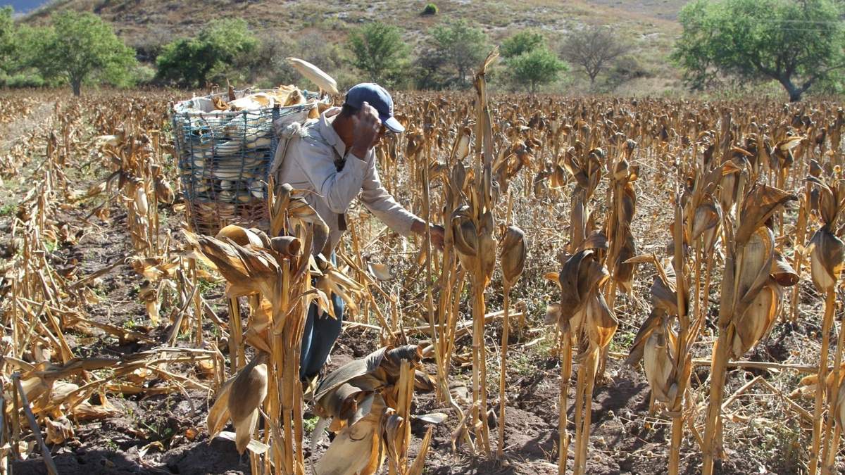 Registro Agrario Nacional. Acceso a la información pública