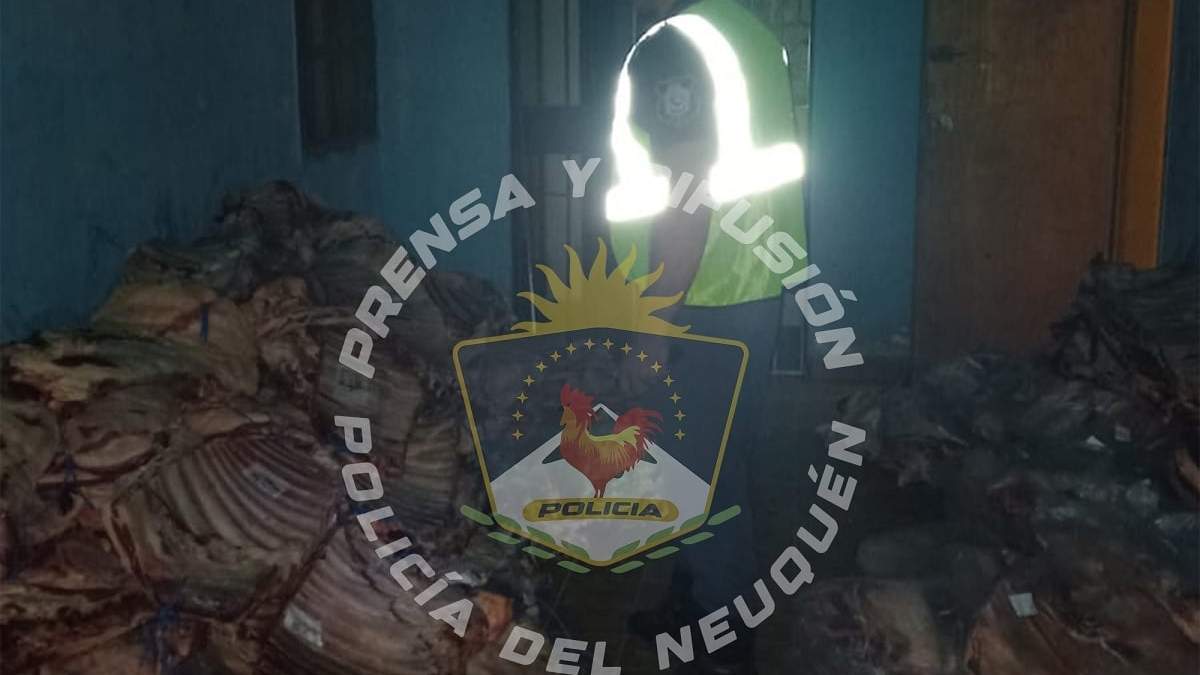 La carga secuestrada fue valuada en 50 millones de pesos. Fuente (Policía de Neuquén)
