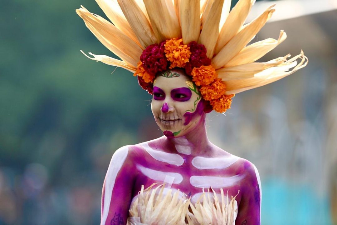 desfile8