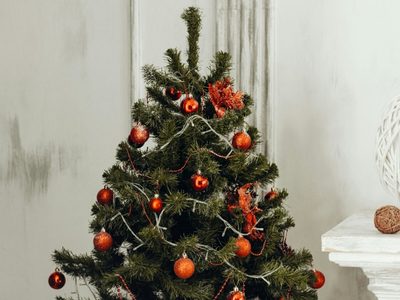 Un Árbol de Navidad vale fortuna en un bazar: con solo cajas de cartón, creá el más fabuloso para tu hogar