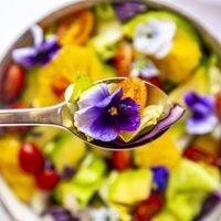 Flores comestibles: 5 consejos útiles para incluirlas en tus platos