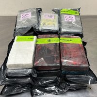 Autoridades aduaneras de EU incautan 850 mil dólares en cocaína en camioneta proveniente de México