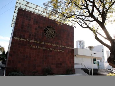 TEPJF rechaza sanción contra activista que expuso vínculo de jueza con "El Chapo"