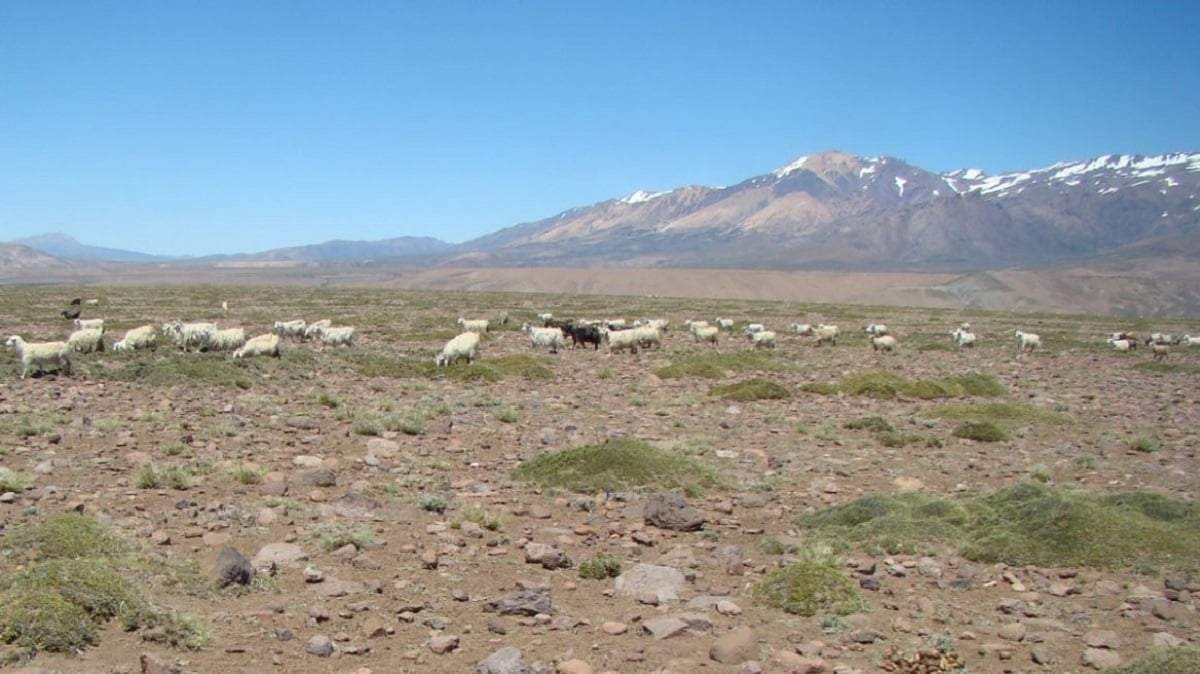La emergencia agropecuaria alcanza a las explotaciones afectadas por la sequía. Fuente: (Diario RN)