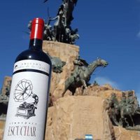 Vinos para escuchar, una propuesta diferente desde Mendoza