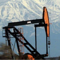 Mendoza extiende la concesión del área petrolera Cajón de los Caballos