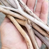Con ramitas y esta increíble idea, creá la maceta colgante más trendy y bonita para tus plantas