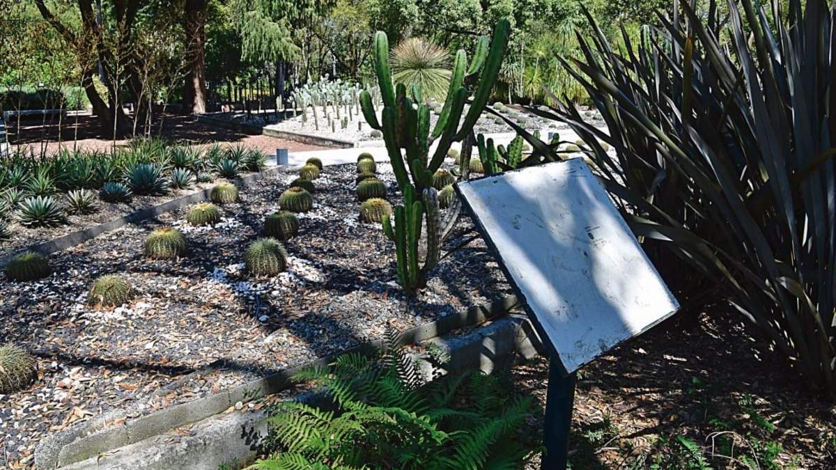 El Jardín Botánico y al Orquideario del Bosque de Chapultepec