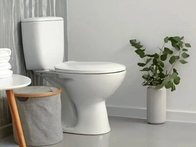 Ahora que es primavera: elegí estas plantas, hermosas y fáciles de cuidar, para colocar en tu baño
