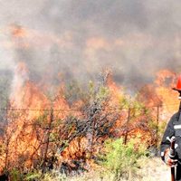 Incendios: continúa la lucha contra el fuego en Chubut y Río Negro