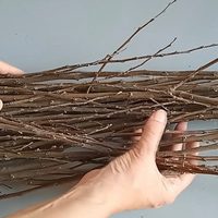 Aprovechá el otoño y recolectá ramas secas de los árboles: creá esto tan fabuloso para tu jardín