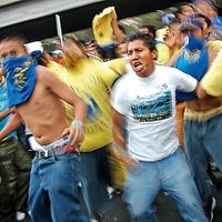 Las barras bravas de América y Pumas, fuerzas de choque para el mejor postor