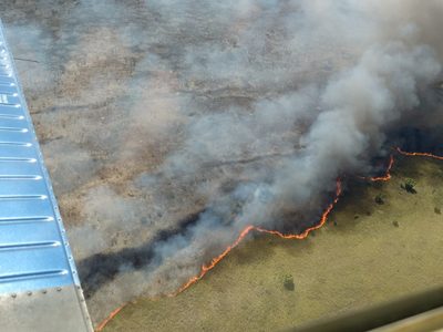 El INAH cierra la zona de Muyil por incendio en Sian Ka’an