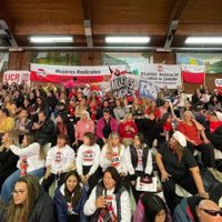 La Red de Mujeres Radicales le solicitó a Peláez que pida disculpas por sus dichos contra la UCR