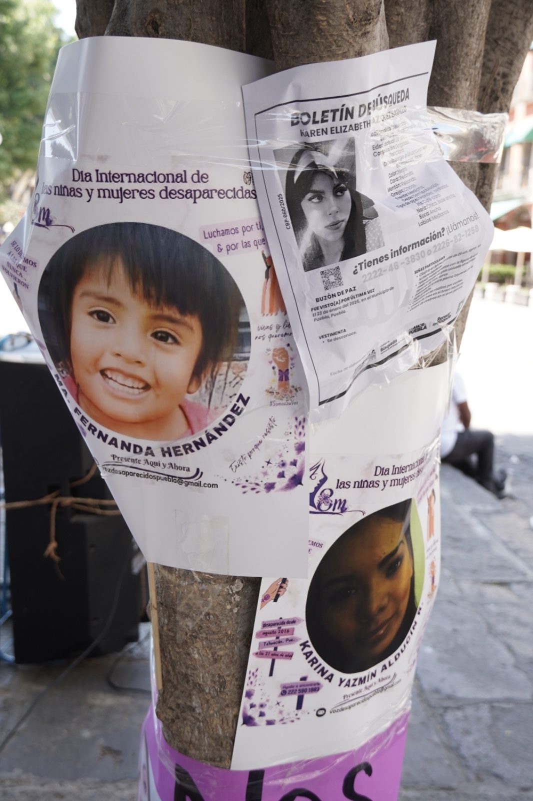 Fichas de mujeres desaparecidas colocadas durante la marcha del 8 de marzo de 2025. Crédito Samantha Páez.