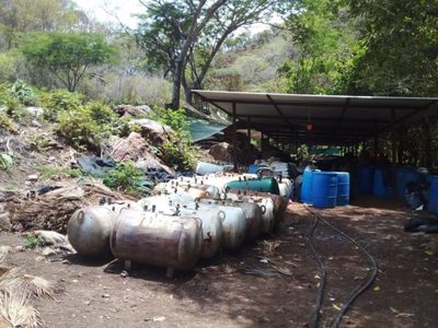 Desmantelan narcolaboratorio en Aquila; hallan mariguana y metanfetamina