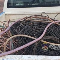 Calf denunció perjuicios por casi 200.000.000 de pesos por el robo de cables
