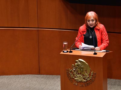 Ante el Senado, Piedra defiende al Ejército: "la estrategia de seguridad da resultados"