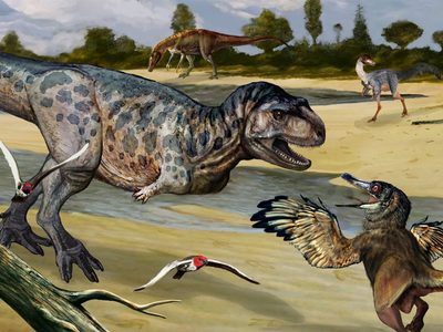 Descubrieron un nuevo dinosaurio depredador en las cercanías de Plaza Huincul