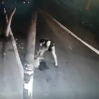 Sujeto da golpiza a mujer en calles de Iztapalapa