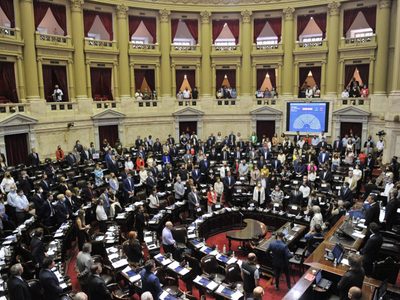 Tras el fracaso del Gobierno en el Congreso, cómo votaron los diputados neuquinos el Presupuesto