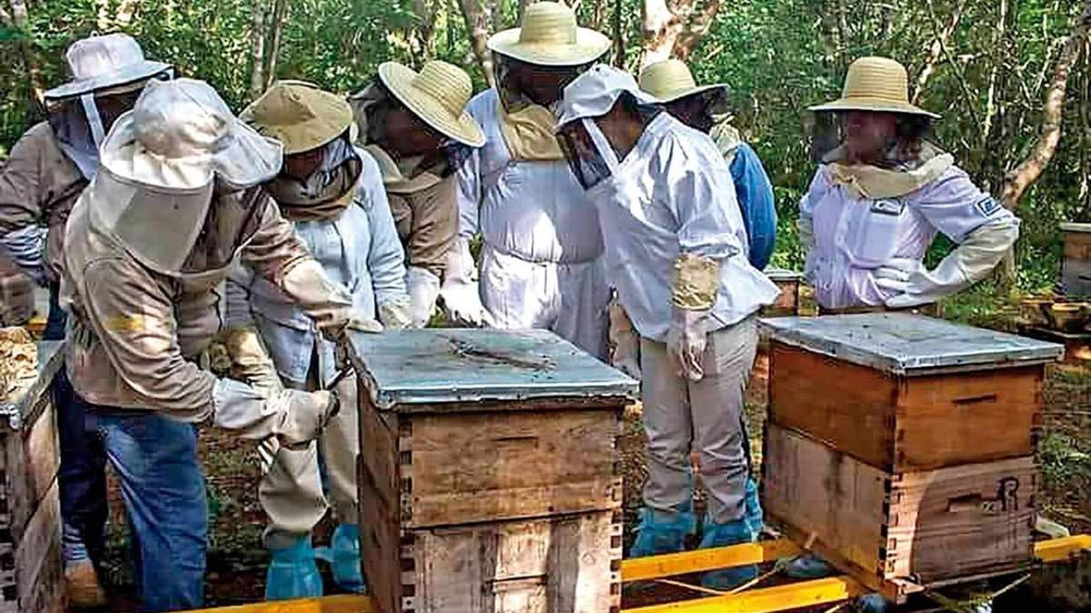 Apicultores. Un gremio en peligro