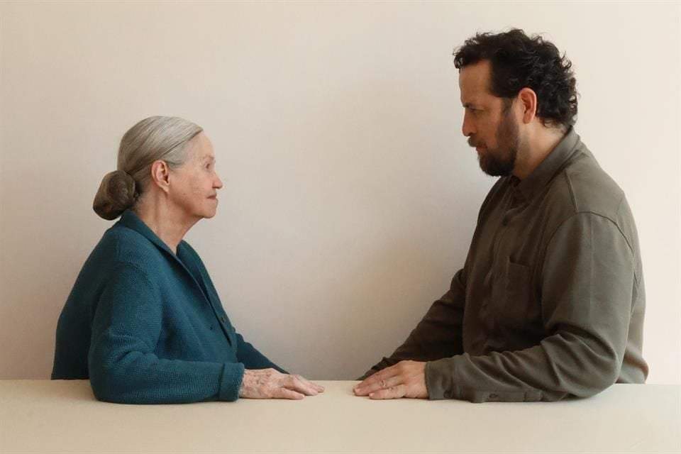 Obra: Apuntes sobre el deterioro de mi madre